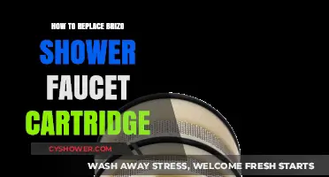 Easy DIY Guide: Replacing Your Brizo Shower Faucet Cartridge