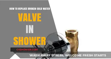 Fix Your Shower: Step-by-Step Guide to Replacing a Broken Cold Water Valve