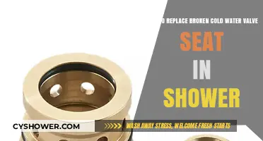 Fix Your Shower: Step-by-Step Guide to Replacing a Broken Cold Water Valve Seat