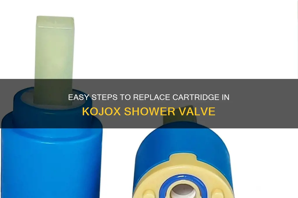 how to replace cartridge in kojox shower valve