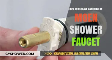 Easy Guide to Replacing a Moen Shower Faucet Cartridge