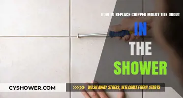Revive Your Shower: Easy Steps to Replace Chipped, Moldy Tile Grout