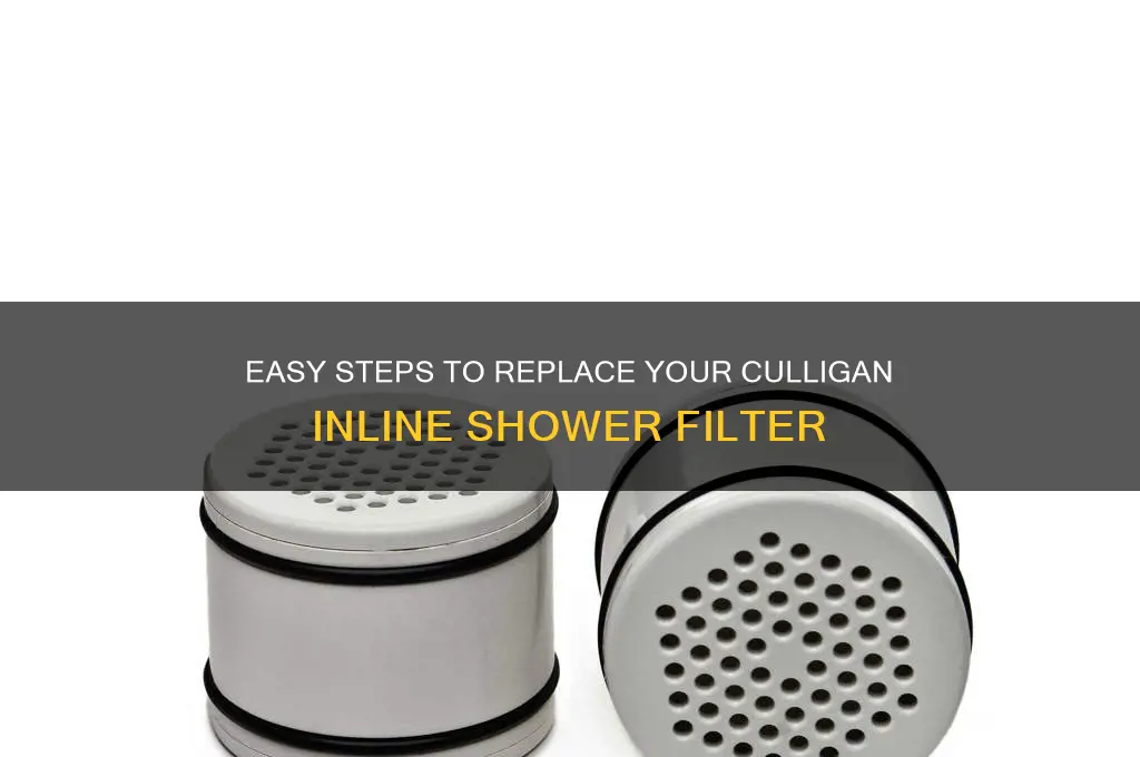 how to replace culligan inline shower filter