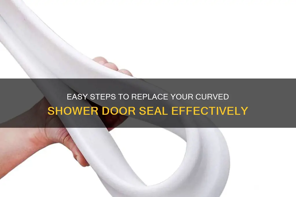 how to replace curved shower door seal