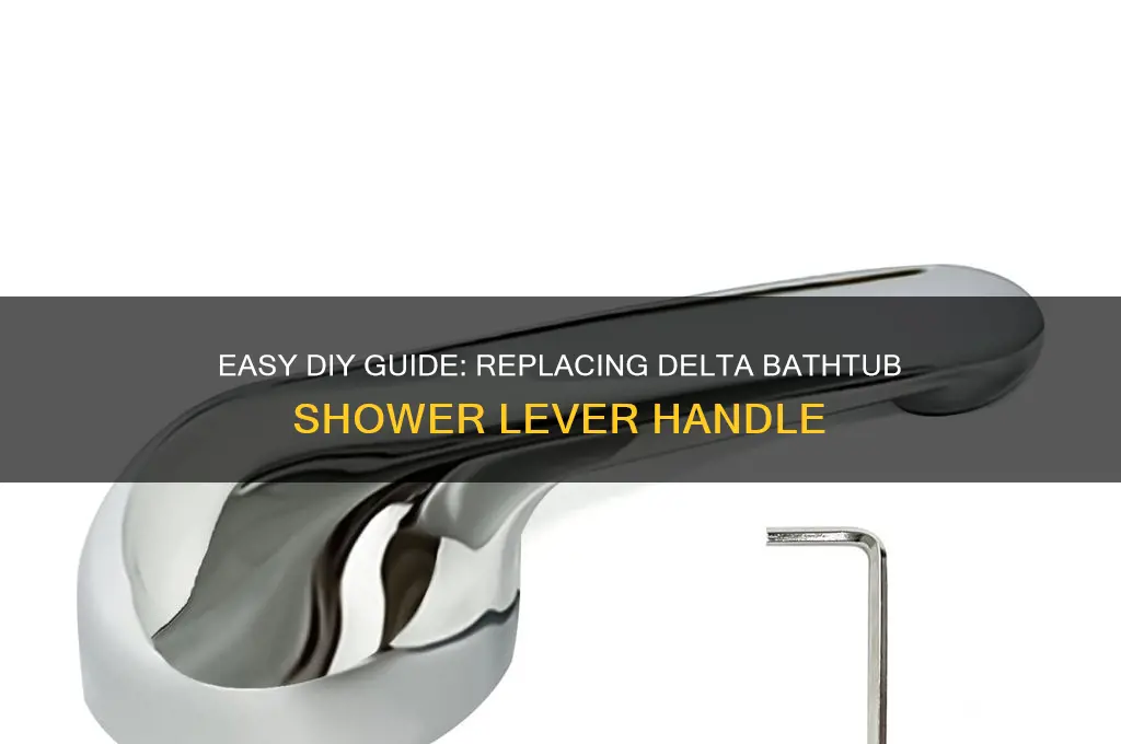how to replace delta lever handle old for bathtub shower