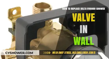 Replace Your Delta R10000 Shower Valve in Wall: Step-by-Step Guide