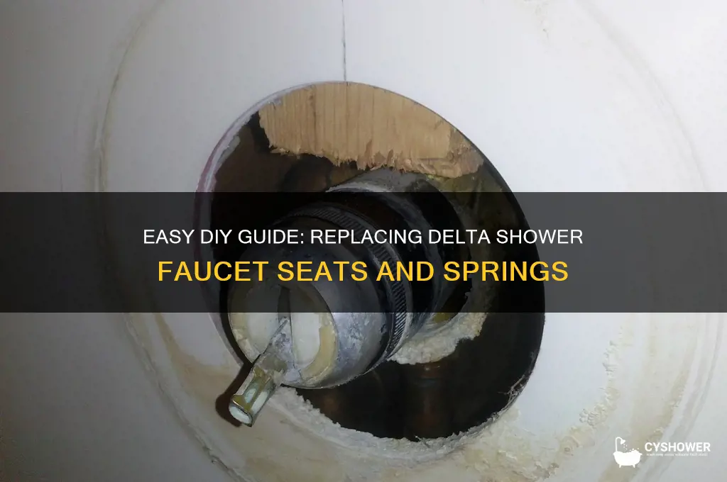 how to replace delta shower faucet seats and springs