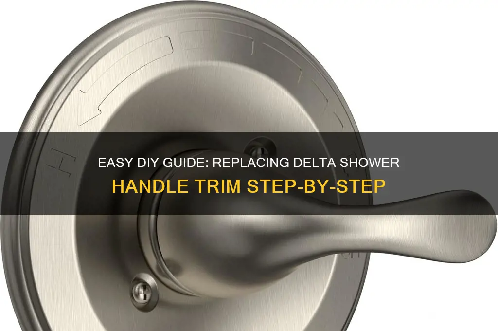 how to replace delta shower handle trim