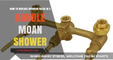 DIY Guide: Replacing Diverter Valve in 3-Handle Moan Shower