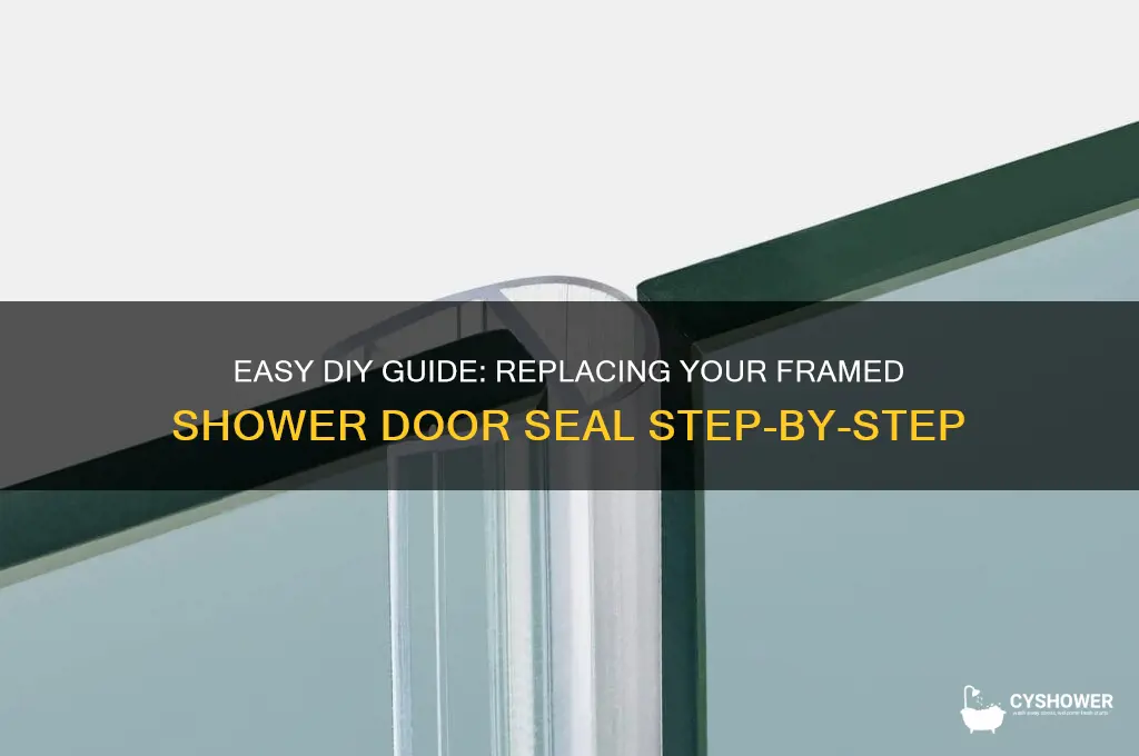 how to replace framed shower door seal