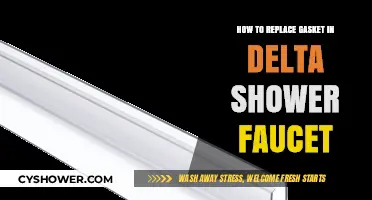 Step-by-Step Guide to Replacing a Delta Shower Faucet Gasket