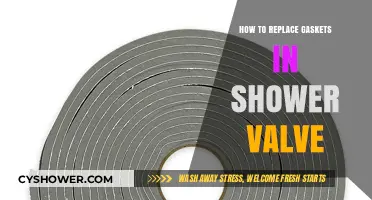 Step-by-Step Guide to Replacing Shower Valve Gaskets Easily