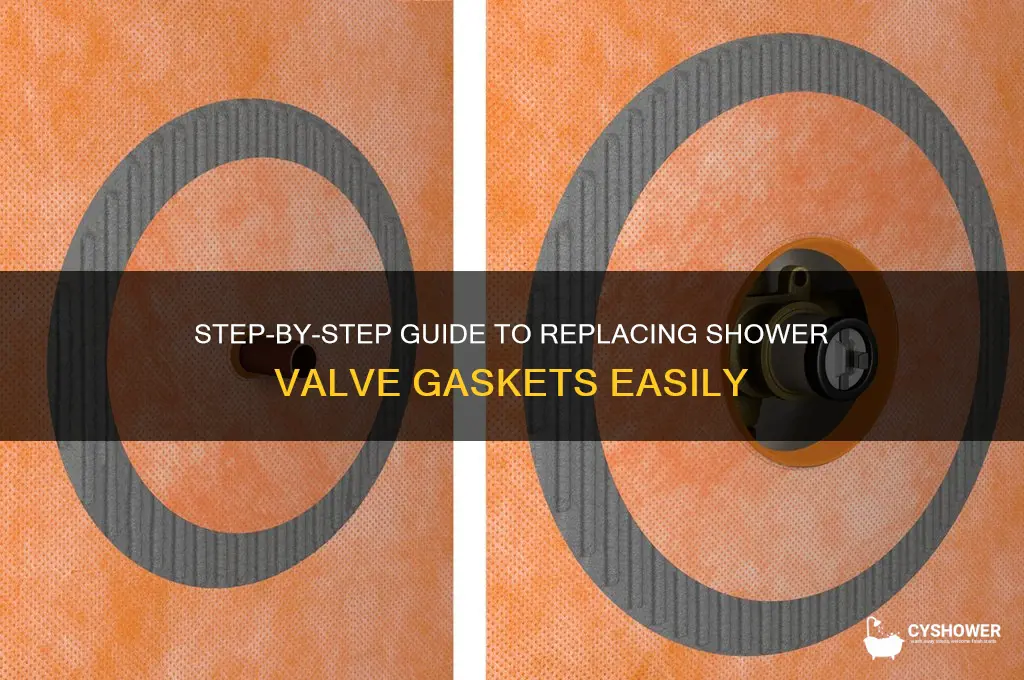 how to replace gaskets in shower valve
