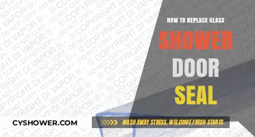 Easy DIY Guide to Replacing Your Glass Shower Door Seal