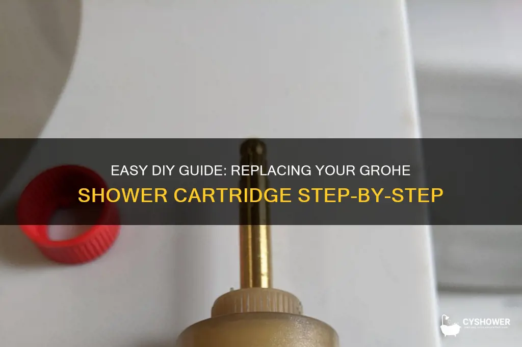 how to replace grohe shower cartridge