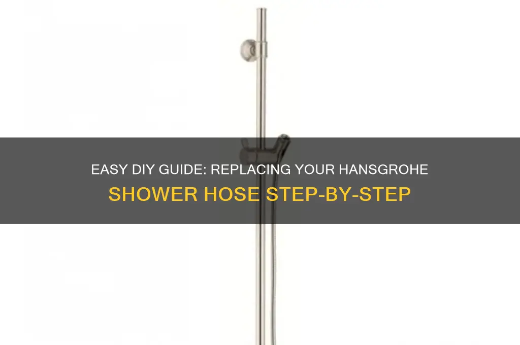 how to replace hansgrohe shower hose