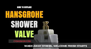 Easy DIY Guide to Replacing Your Hansgrohe Shower Valve