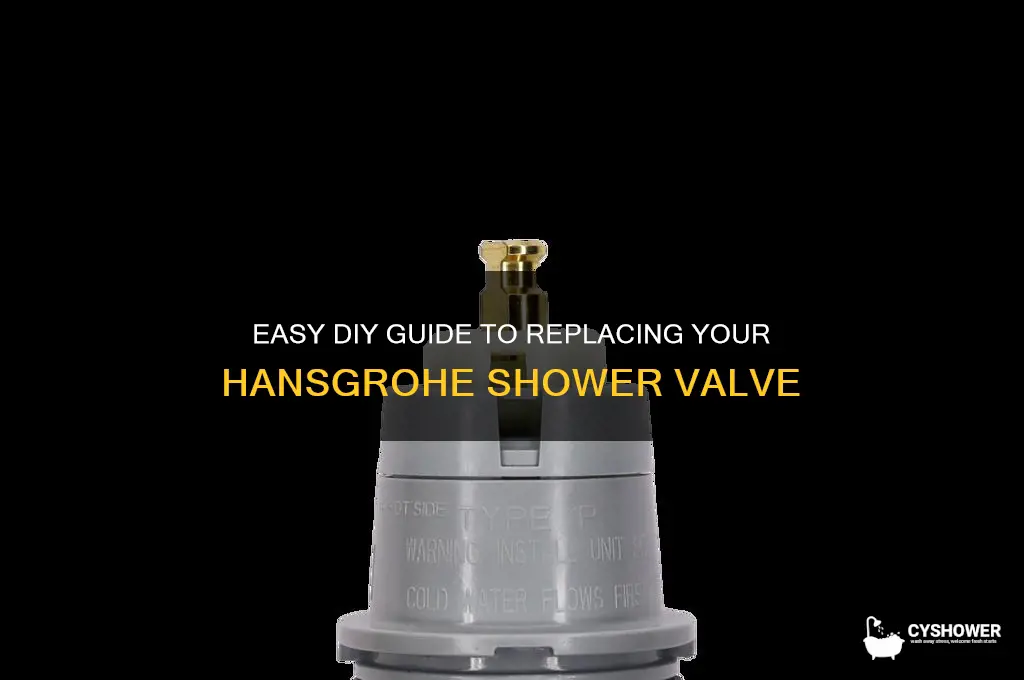 how to replace hansgrohe shower valve