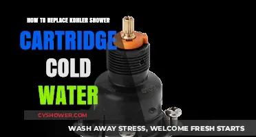 Easy Steps to Replace Your Kohler Shower Cartridge for Cold Water
