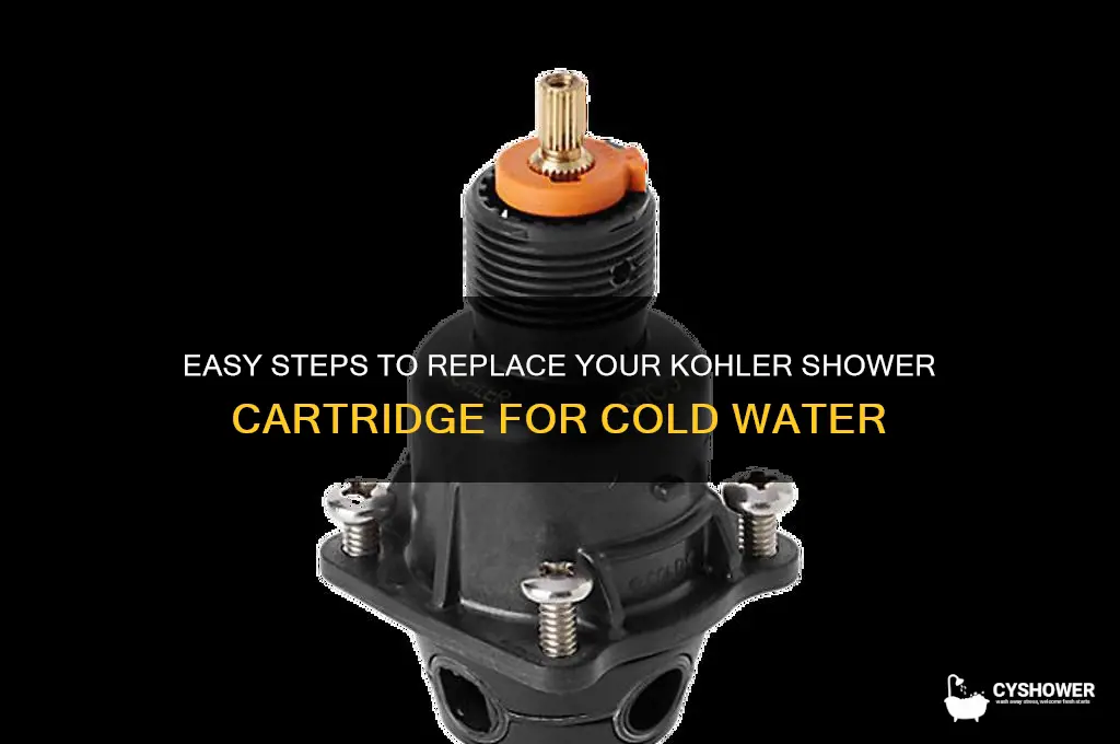 how to replace kohler shower cartridge cold water