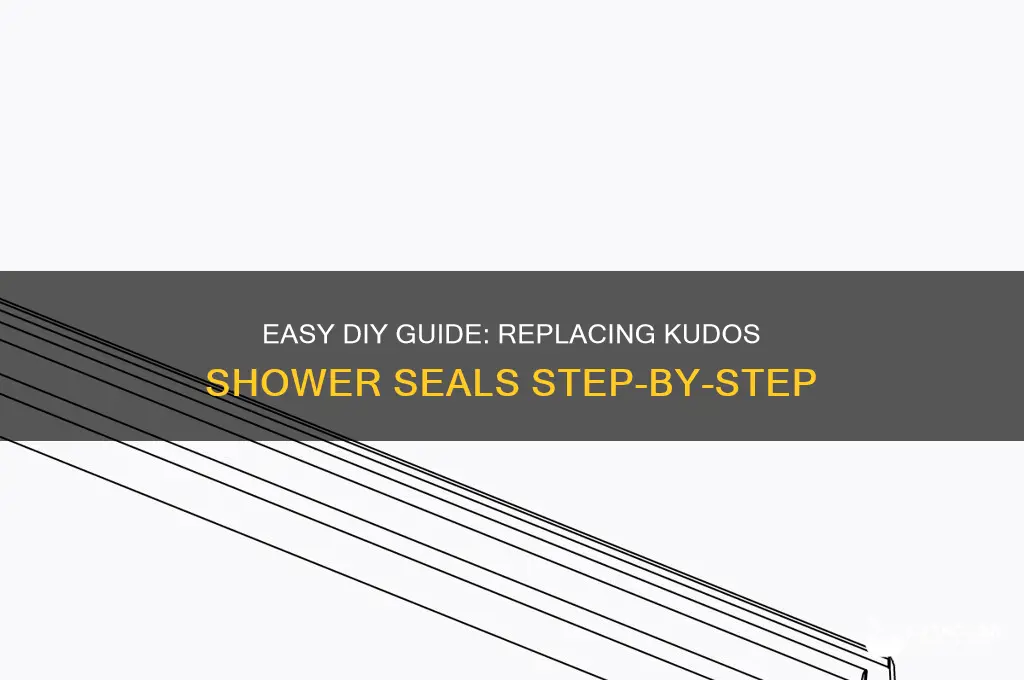 how to replace kudos shower seals