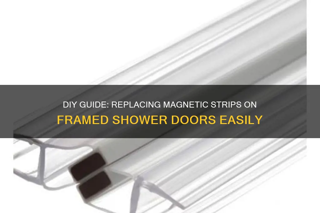 how to replace magnetic strip on framed shower door