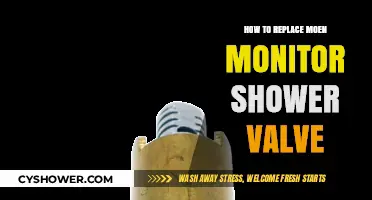 Step-by-Step Guide to Replacing Your Moen Monitor Shower Valve