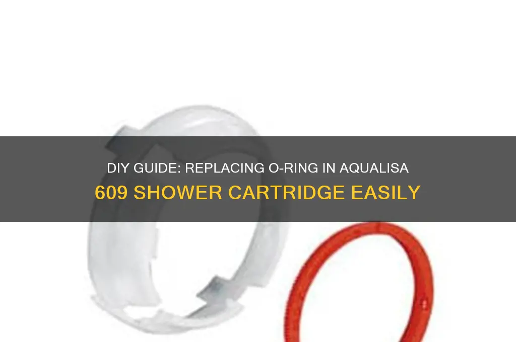 how to replace o ring in aqualisa 609 shower cartridge