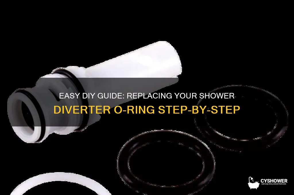 how to replace o ring in shower diverter