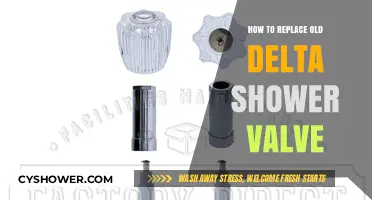 Step-by-Step Guide to Replacing Your Old Delta Shower Valve