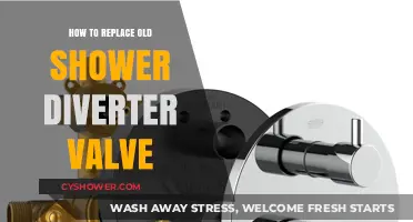 Easy DIY Guide: Replacing Your Old Shower Diverter Valve