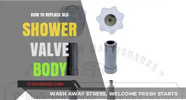 DIY Guide: Replacing Your Old Shower Valve Body Step-by-Step