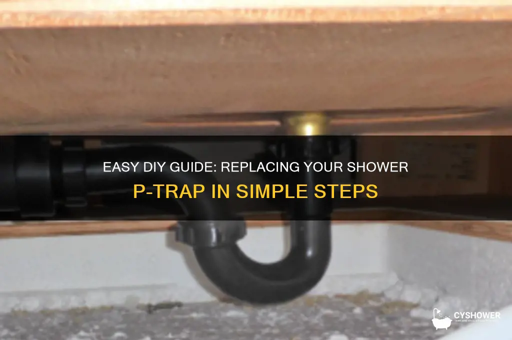 how to replace p trap in shower