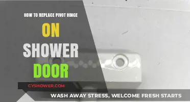 Easy Guide to Replacing a Shower Door Pivot Hinge