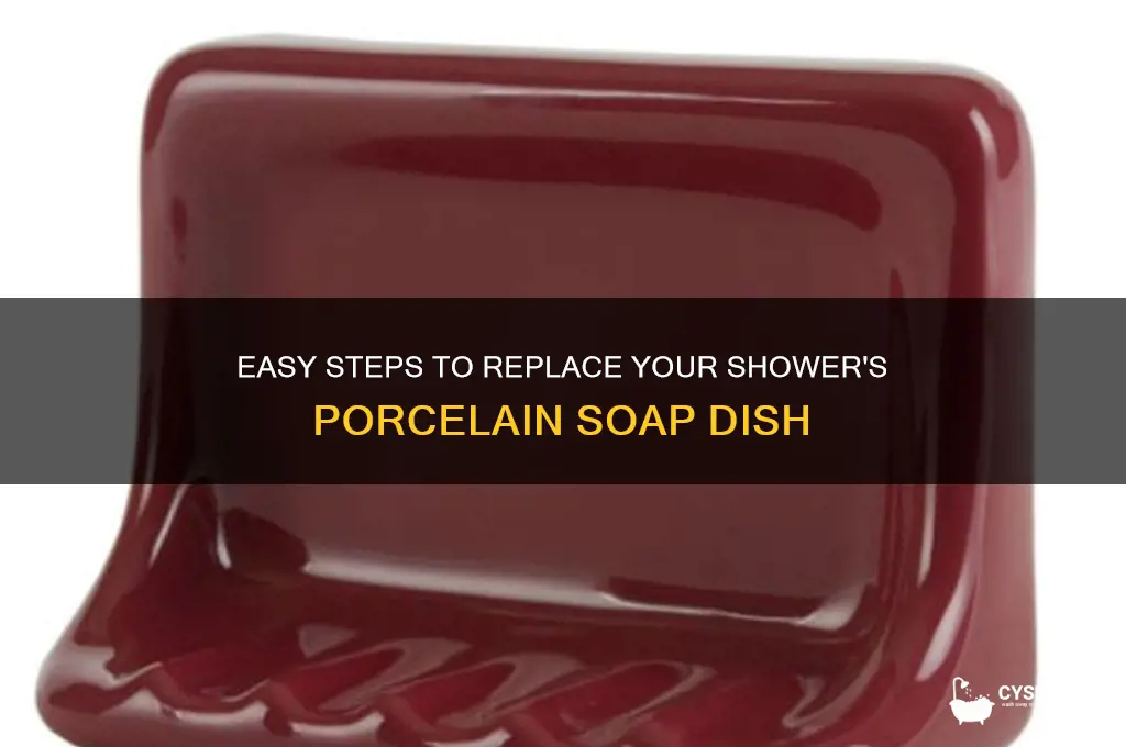 how to replace porcelain soap dish in shower