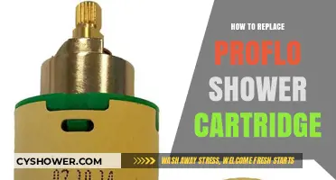 Easy DIY Guide: Replacing Your Proflo Shower Cartridge Step-by-Step