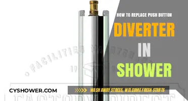 Easy DIY Guide: Replacing Your Shower's Push Button Diverter