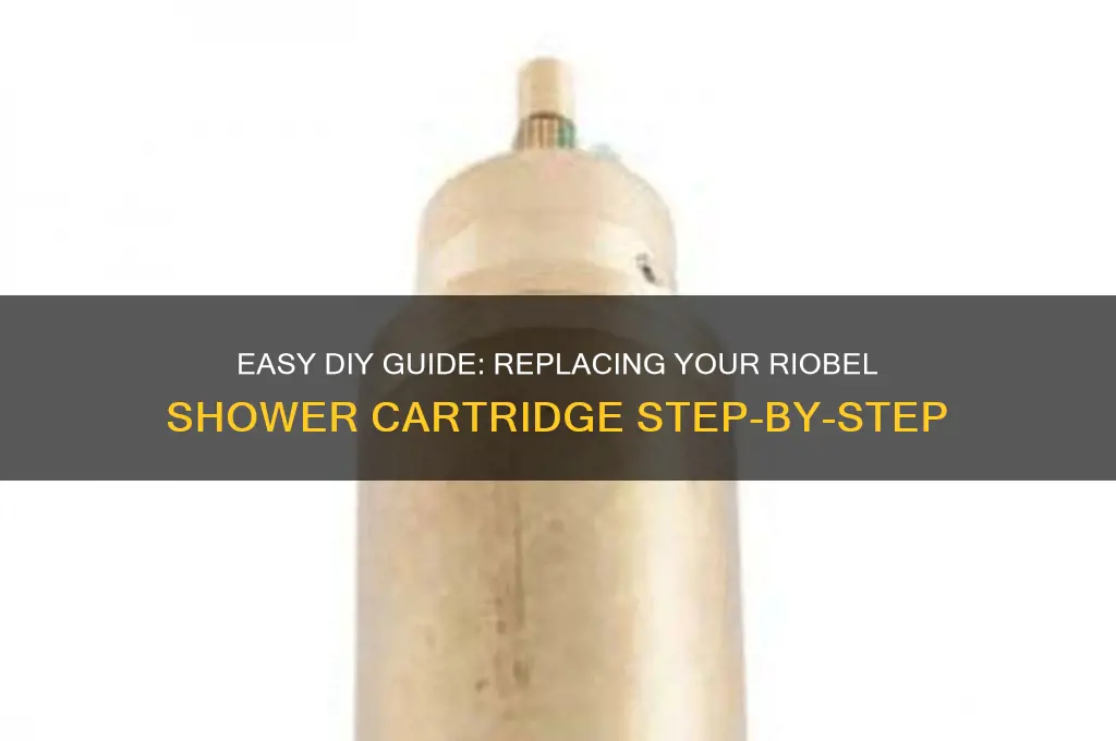 how to replace riobel shower cartridge
