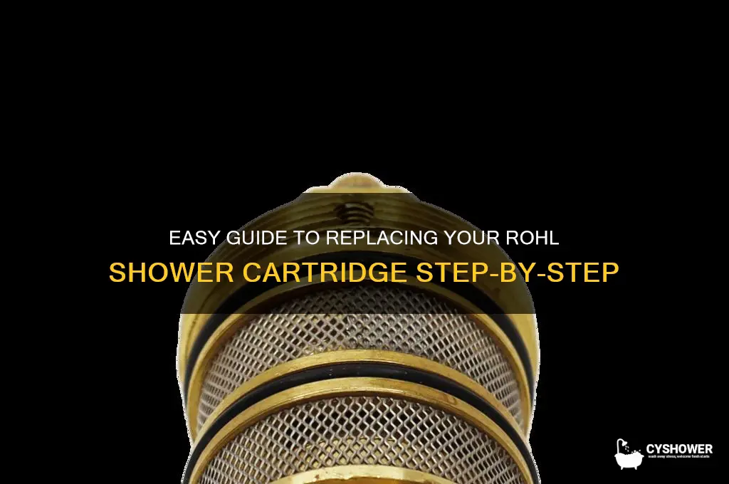 how to replace rohl shower cartridge