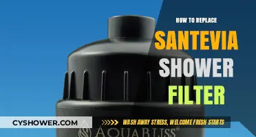Easy Guide to Replacing Your Santevia Shower Filter for Cleaner Water