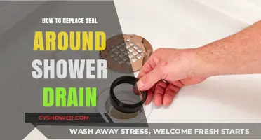 Easy DIY Guide: Replacing the Seal Around Your Shower Drain