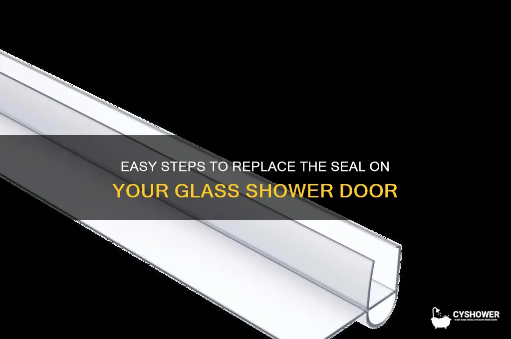 how to replace seal on bottom of glass shower door
