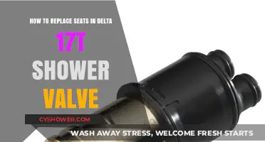 DIY Guide: Replacing Seats in Delta 17T Shower Valve Easily