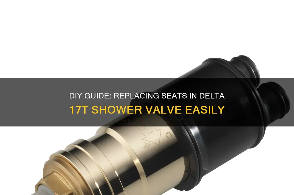 how to replace seats in delta 17t shower valve