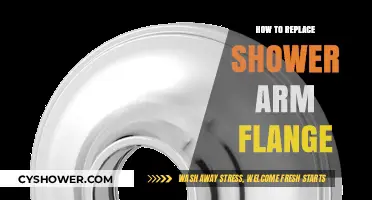 Easy DIY Guide: Replacing Your Shower Arm Flange Step-by-Step