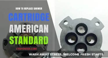 Easy Guide to Replacing Your American Standard Shower Cartridge