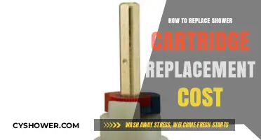 DIY Shower Cartridge Replacement: Cost-Effective Guide for Homeowners
