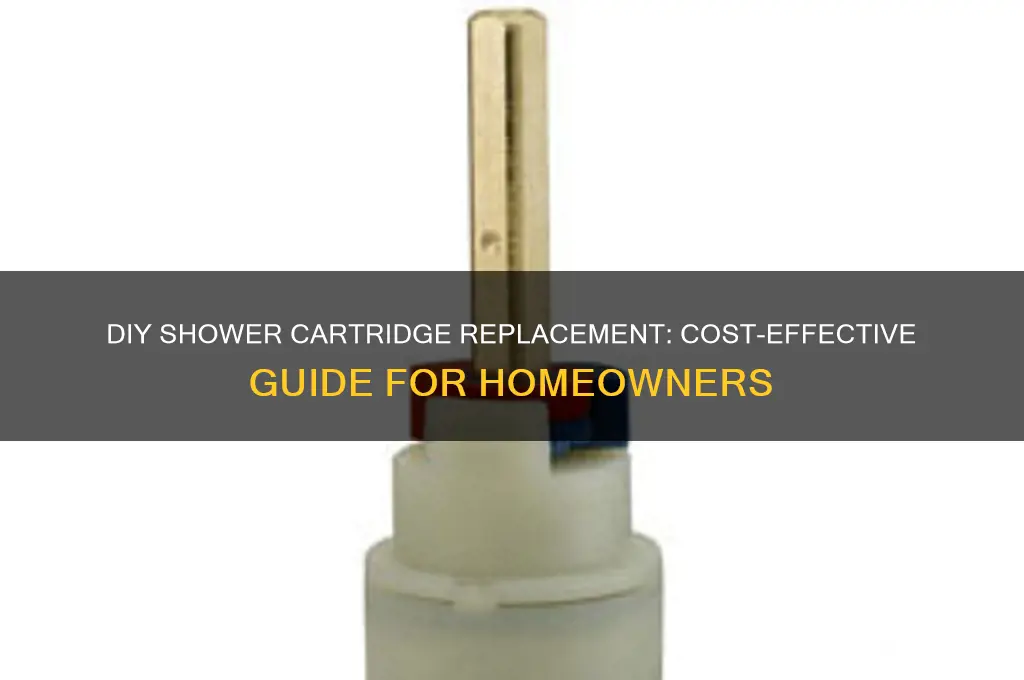 how to replace shower cartridge replacement cost