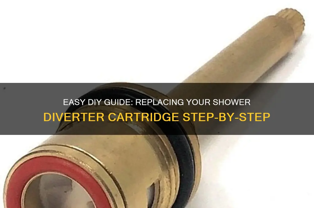 how to replace shower diverter cartridge