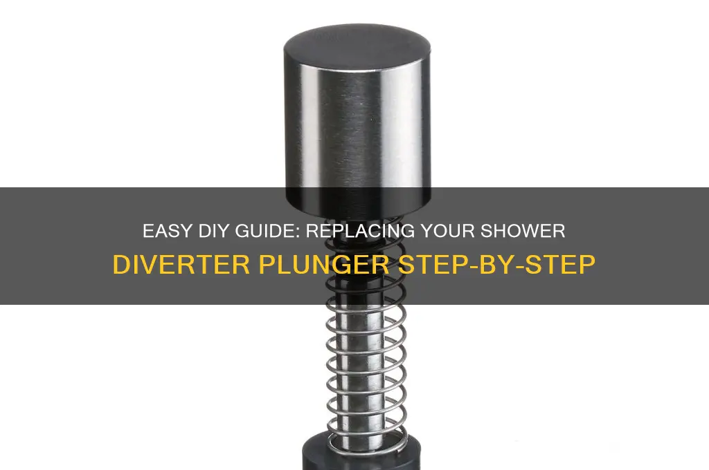 how to replace shower diverter plunger